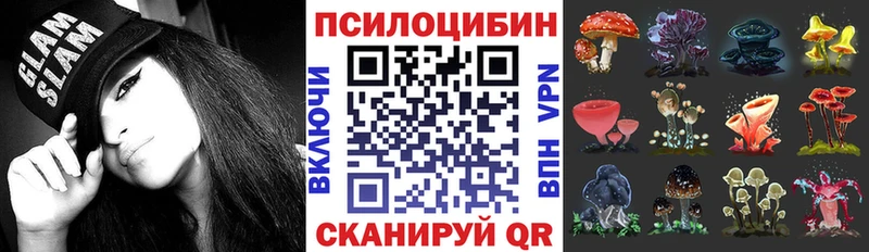 Псилоцибиновые грибы GOLDEN TEACHER  Новокубанск 